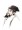馮夢(mèng)龍名人名言哲理格言警句語錄
